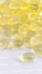 KICAU MART Minyak Ikan 100 Butir Tung Fish Tunghai Tung Hai Liver Minyak Ikan Fish Oil Vitamin Omega Bulu Kucing Anjing Kelinci Hamster Sugar Glider Minyak Ikan Pelebat Bulu Jaga Imun Hewan