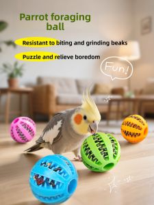 VOA | Entertainment & Training Parrot Toy