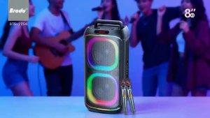 BTS-2256 Dual 8 inch Bluetooth Party Speaker with rechargeable mic Professional karaoke speakers