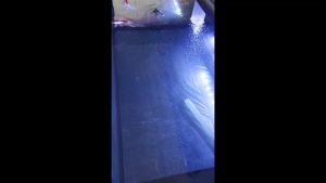 Lampu LED Celup Aquarium 3 Mode Day & Night T4 Ukuran 20 30 40 50 60 Tahan Air Laut Tawar Aquascape