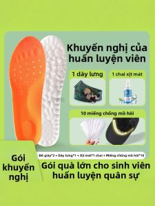 ZUYINBULUO | Đế Giày Chuyên Dụng Huấn Luyện Quân Sự I Gói Chăm Sóc Chân Thay Thế Bốn Miếng