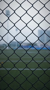 EVERBUILD NUTRITION CREATINE  MONOHYDRATE 300 GRAM 60 SERVING - CREATINE POWDER PURE MICRONIZED