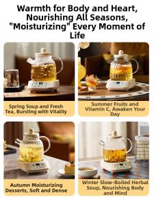 [China Plug Without Adapter] Multi-Function Tea Kettle for Home and Office 2025 New Edition