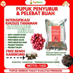Pupuk Pembesar Umbi Bawang Merah / Pupuk Pembesar Bawang Merah / Pupuk Penyubur Bawang Merah / Pupuk Booster Bawang Merah / Obat Pembesar Buah Bawang Merah