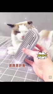Pet Grooming Wall Brush Cat Corner Self Comb Massager for Shedding and Itch Relief