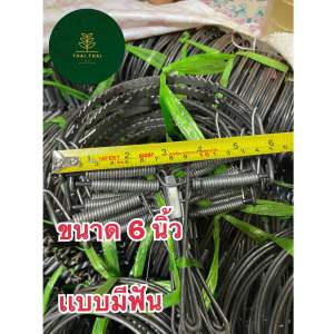 6 นิ้ว( แบบมีฟัน)1 มัด 10 ชิ้น ราคา 135฿