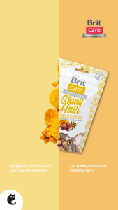 Brit Care Cat Functional Snack 50g x6 Value Packs Shiny Hair Hairball Dental Digestion Mochapets