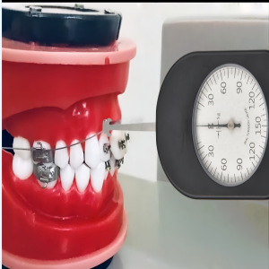 Tensiometro ATLG1 Single Pointer ฟันเคล็ดลับ Tensiometro Dial Tension Meter จัดฟัน Dynamometer Pointer Force เครื่องมือ