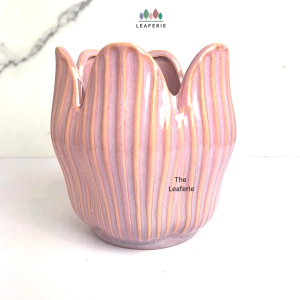 The Leaferie Castillo plant pots. Ceramic flowerpot . flowerpots . flower pot . planter . planters