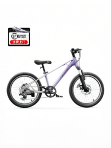 Kinderkraft | Kids Variable Speed Bicycle 20 inch