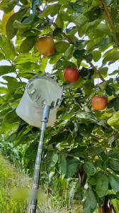 Dụng Cụ Gậy Sào Vợt Hái Trái Cây Trên Cao Kim Loại Chống Gỉ Cao Cấp Dài 3 đến 9 Mét Rút Gọn Tiện Lợi