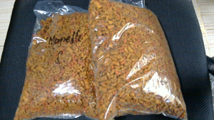 Monello Cat Dry Food Salmon 1kg Repacked