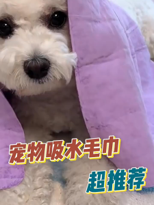 Quick-Drying Pet Bath Towel Suitable For Cats and Dogs Absorbent Towel