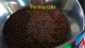 9951 เสพติดเทียรรูปแบบเม็ด กันไม่เกิน 20กิโล การผสม: อาหารปลานิล, ปลาทับทิม, ปลากินพืช, เหยื่อตกปลา, สปิ๋ว, ชิงหลิว