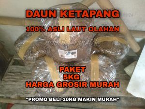Daun ketapang laut olah fermentasi siap pakai 5Kg free 200Gram