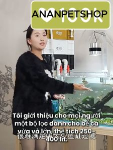 Bộ Lọc thùng YEE + Bơm + Vật liệu lọc Baki cho Hồ cá cảnh | Dễ dàng Lắp đặt