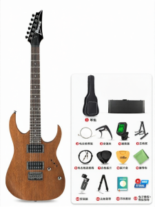 Ibanez | Đàn Guitar Điện Từ Sơ Cấp Đến Trung Cấp Đôi Tremolo