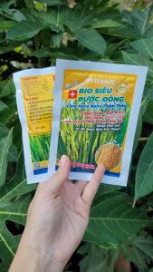 [Freeship Max] Phân bón BIO SIÊU RƯỚC ĐÒNG giúp lúa bông to hạt sáng dưỡng xanh lá đòng gói 25gram