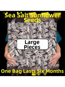 Large Salted Roasted Sunflower Seeds Salty Sweet 500g