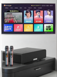 DAOUBO | Wireless Smart Karaoke System