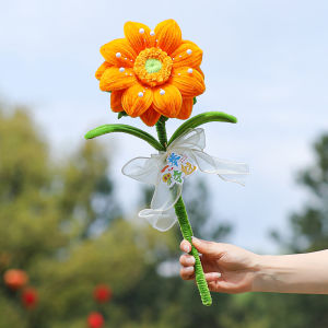 XIXIAOER | Exam Success Inspiration Bouquet