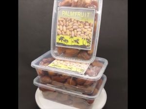 Kelezatan & Manfaat Kurma Tunisia Madu 1kg