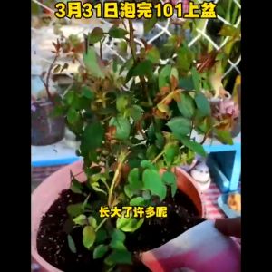 Shopee Seller Centre(15).mp4