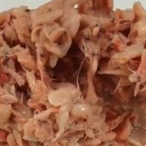 กุ้งจ่อมโคราช (สูตรโบราณสารแท้ดั้งเดิม) ทำสด ใหม่ สะอาด หอม นัว