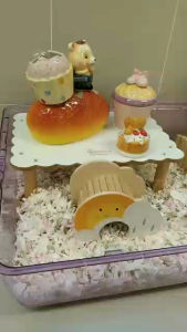 Hedgehog Planet hamster small pet natural habitat bridge hideout 仓鼠彩虹桥多云拱桥黄金鼠金丝熊仓鼠造景躲避