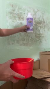 [Có Giấy Kiểm Định] Tẩy Mốc TườngTẩy Trắng Quần Áo Sàn Nhà Ố VàngRêu Mốc Tường Lâu Ngày Hikit