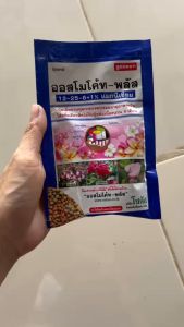 ออสโมโค้ท-พลัส (Osmocote-plus) สูตร 12-25-6+1% magnesium ปุ๋ยละลายช้า สูตร 6 เดือน