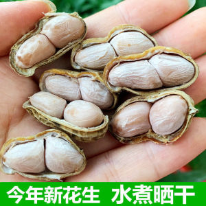 Authentic Steamed Peanuts with Salt White Dried Shell Snack Nighttime Craving Reliever Non-Fried Special Product Hunan Nuts