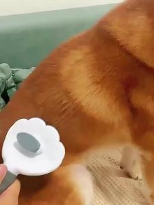 Soft Bristle Self Cleaning Pet Brush Gentle Skin Safe Grooming Comb for Sensitive Skin Dogs Cats