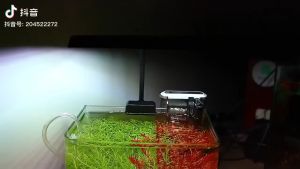 NEO-HELIOS FLAT S3 PLUS NANO RGB 13W Đèn Kẹp Mini RGB Đỏ Cá Không Đỏ Nước Cá Tép Thuỷ Sinh