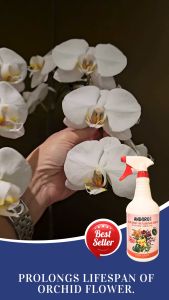 ANDGRO Foliar Spray for Flowering (Orchid) & Foliar Spray for Strong Growth (Orchid) & White Oil Bundle Deal