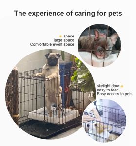 Medium Dog Cages & Portable Crates: Choosing the Right Pet Cage