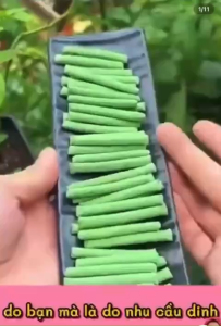 QUE DINH DƯỠNG CÂY TRỒNG TAN CHẬM STRONG GROW | COMBO 2 HỘP 36 QUE | CẮM LÀ DÙNG | NPK 15-15-15