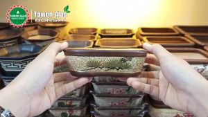 Pot Bonsai Keramik Semi Oval - MOTIF 1