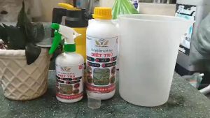 Chế phẩm sinh học trừ sâu rầy rệp biogreen 555 diệt trừ các loại sâu da trơnsâu tơsâu keosâu đục thânrầy trắng nhện đỏ rệp xanhrệp trắng kiến côn trùng phá hại cây trồng như hoa hồnglanmai vàngcây cảnhrau màu