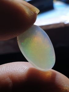 kalimaya krista cikelapa jumbo asli banten jarong pelangi tedeng mulus