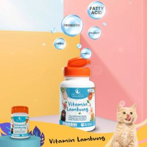Olive Care Vitamin Kucing: Solusi Masalah Pencernaan untuk Diare, Mencret, Pup Berdarah, dan Radang Usus