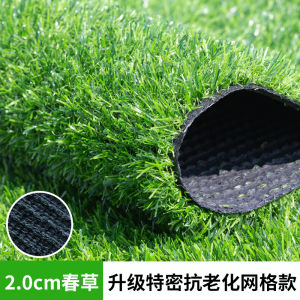Artificial Lawn Mat Fake Grass Green Artificial Lawn Plastic Fake Grass Fake Grass Kindergarten Outdoor Fake Grass Leather Decorative Carpet