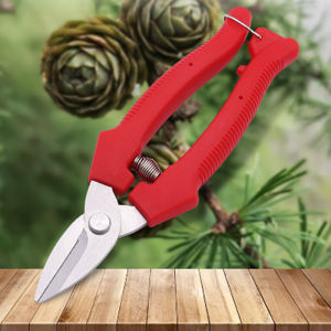 Straight-Head Bypass Pruning Shears – Stainless Steel Sawtooth Blade PP Handle Ideal for Bonsai & Garden Pruning