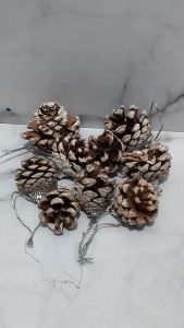 Dekorasi Pohon Natal: Hiasan Pohon Natal Pinus Mini & Gantungan Pinus Salju