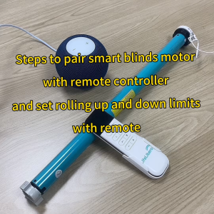 LifeLibero Tuya WiFi or ZigBee Battery Smart Curtains Roller Blinds Shade Tube Motor for 37 38mm Remote Control Compatible with Alexa Google Home
