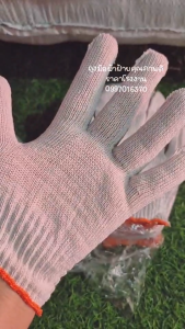 ถูกถุง 12 คู่ ถุงมือผ้าฝ้าย ถูกถุงมือผ้าทำสวน ถูกรวม ถูกรู้ ถูกถูกถูกถูก ถูกถูกถูกถูกถูก 100% ถูกถูกถูกถูกถูก 550 ซม