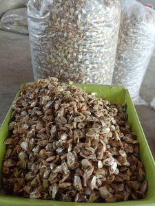 ☀️หัวปลากระตักแห้ง หัวปลาจิ้งจังแห้ง วัตถุดิบอาหารสัตว์  โปรตีน แคลเซียม  เหมาะสัตว์เลี้ยง 20 kg.