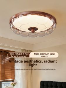 DGY | Vintage Stylish Ceiling Light
