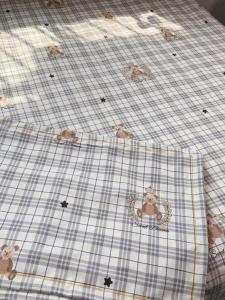 Authentic Shandong Old Coarse Cotton Cartoon Bear Patterned 3-Piece Set Bedding Pure Cotton Cooling Sheet Striped Design