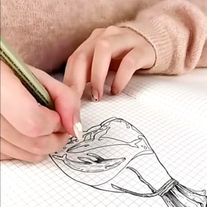 12PCS Sakura Pigma Micron Needle Pen Set Detail Drawing Fineliner Pen Sketch Brush Pen Art Markers